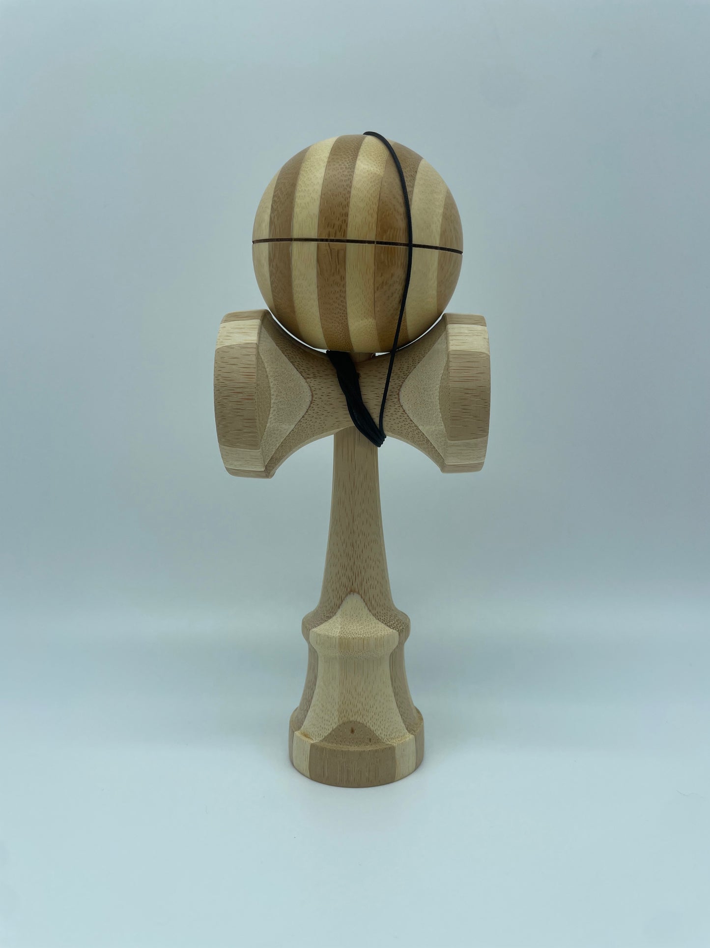 Bamboo 2B