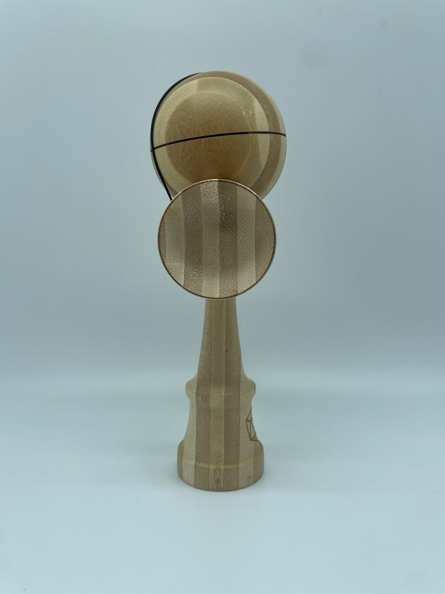 Bamboo 2B