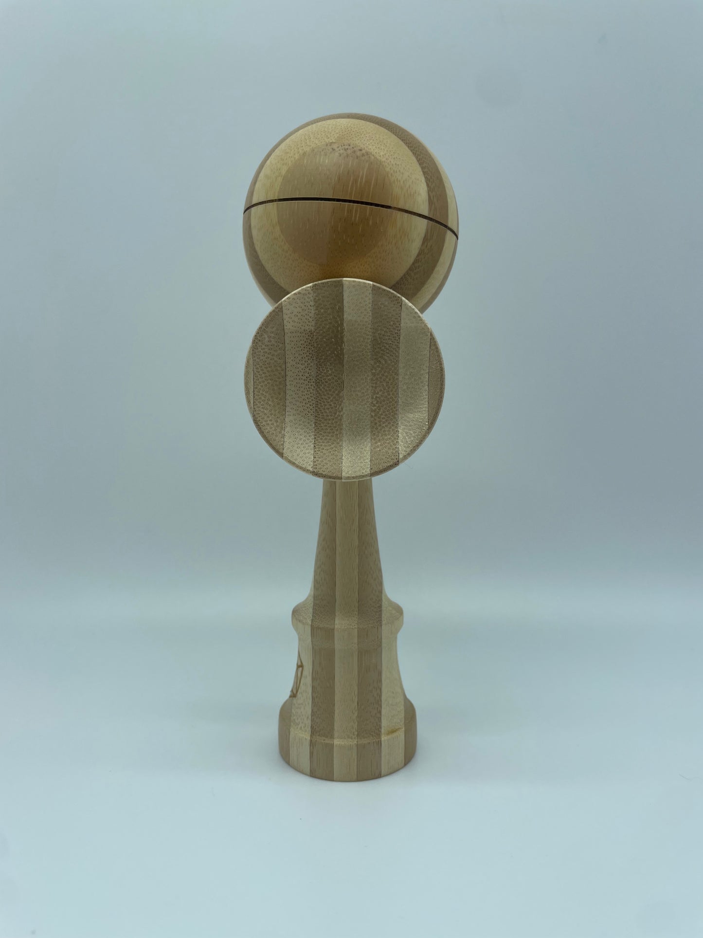 Bamboo 2B