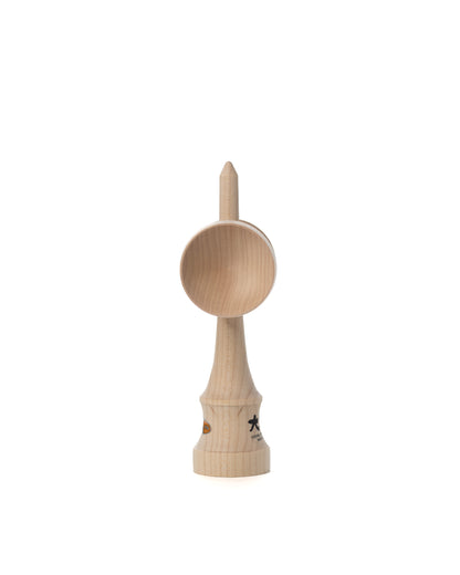 Maple REShape 5