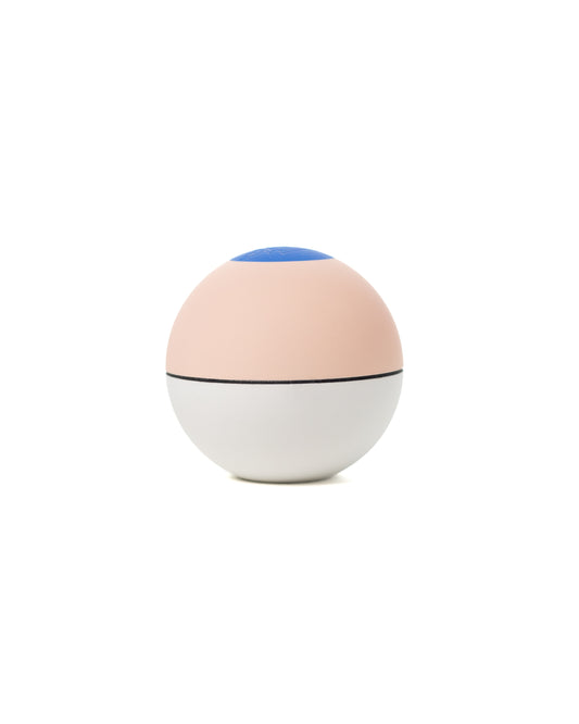 Maple Camellia Gecko Tama