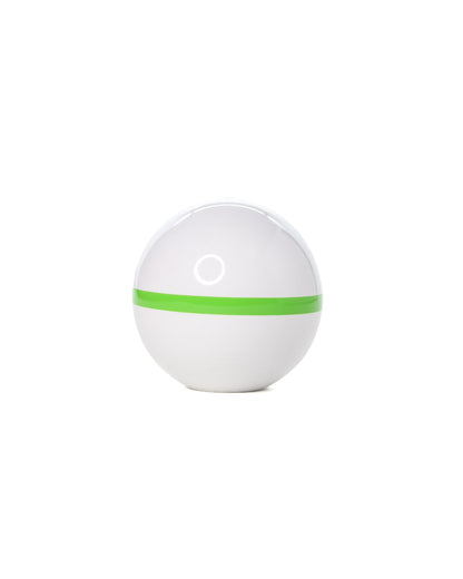 Green Stripe Zen Tama