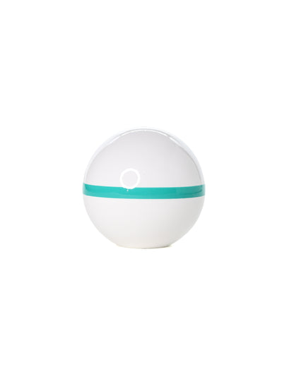 Aqua Stripe Shenzhu Tama