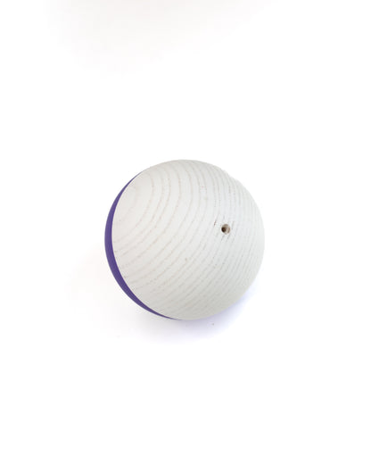 Jazz Gecko Paint Tama